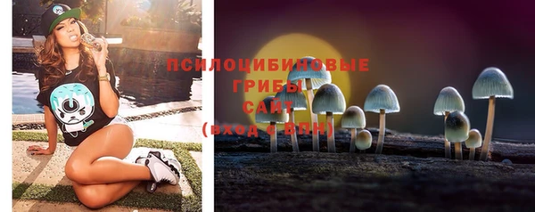 соль курить ск Арсеньев