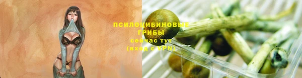 соль курить ск Арсеньев