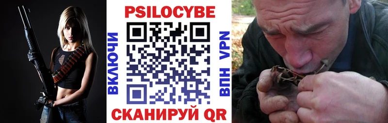 где купить наркоту  Минусинск  MEGA   Псилоцибиновые грибы Psilocybe 